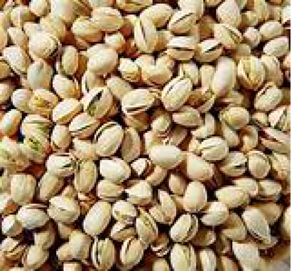 HẠT DẺ CƯỜI XÁ